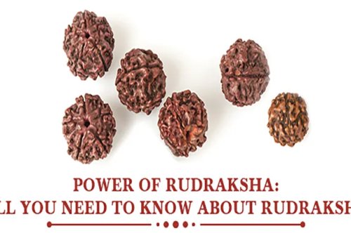 रुद्राक्ष और आपके जीवन में उनका महत्व