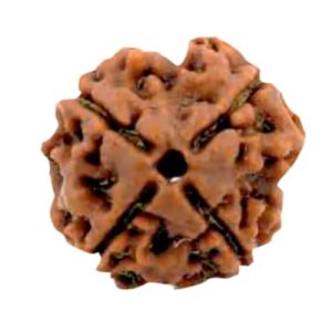 चार मुखी रूद्राक्ष (माला सहित)