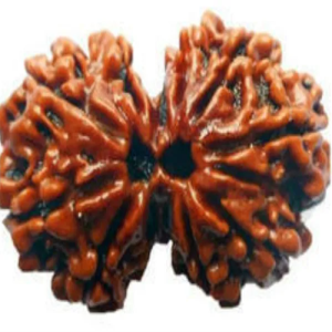 गौरीशंकर रूद्राक्ष (माला सहित)